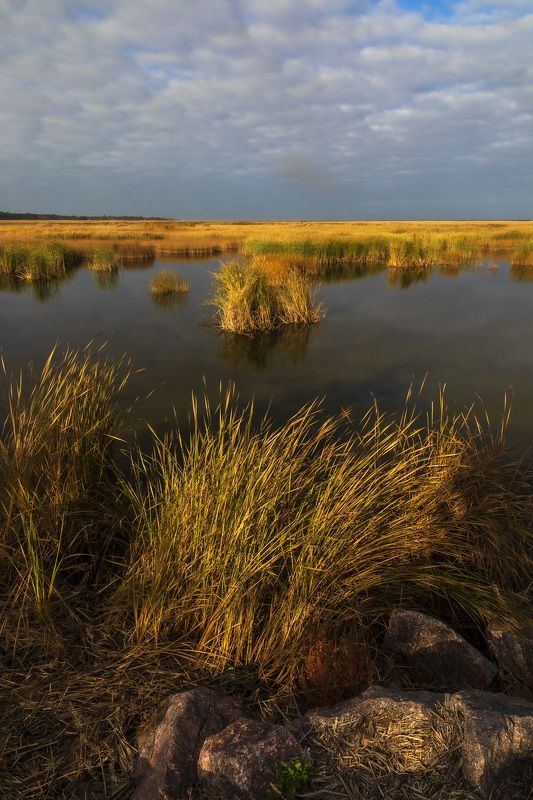 пейзаж, берег, вода, утро, осень Осенний пейзаж фото превью