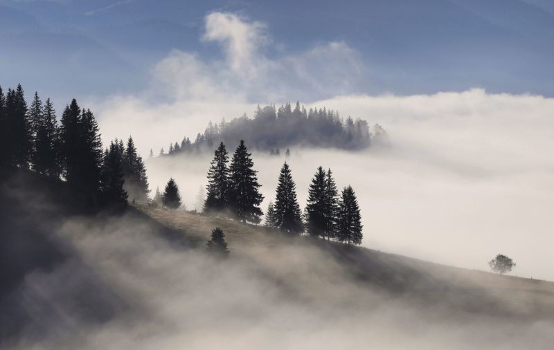 Туманный драконphoto preview