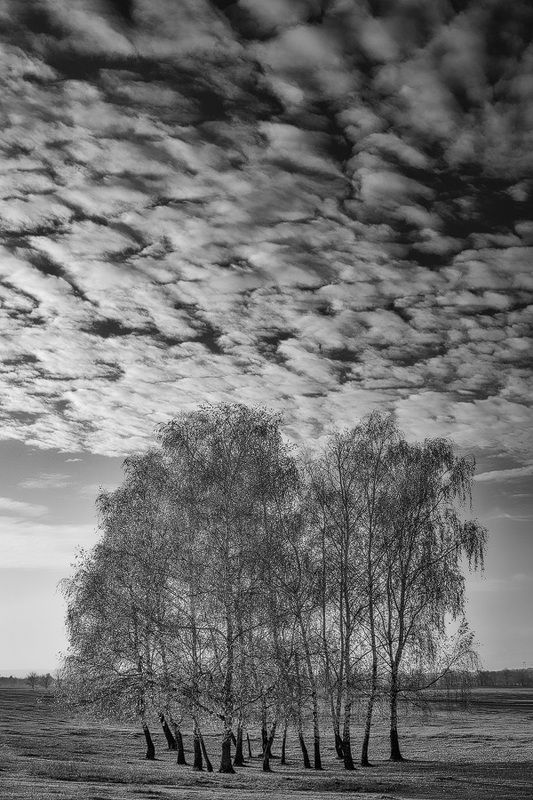 2020 фото превью