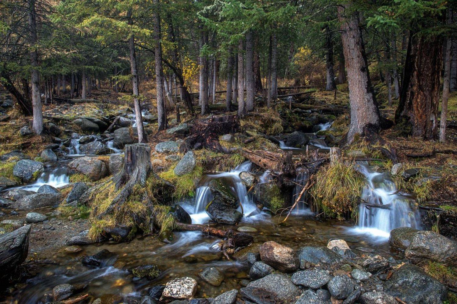 река Тастыбулак. Автор: Толмачев Дмитрий , Толмачев Дмитрий