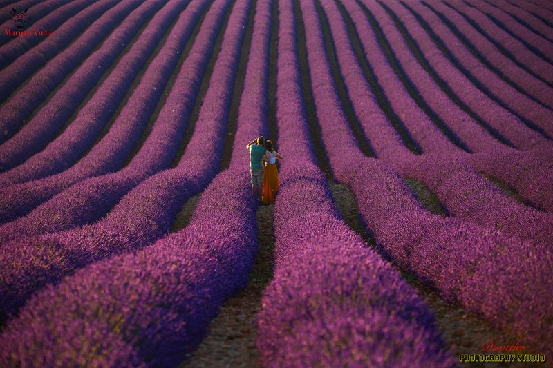 Provansaphoto preview