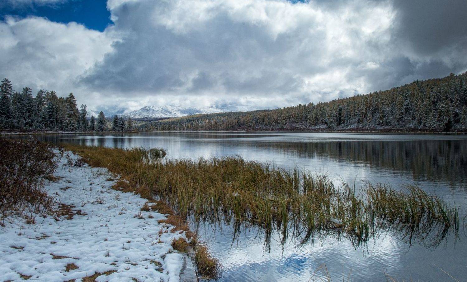 , Толмачев Дмитрий