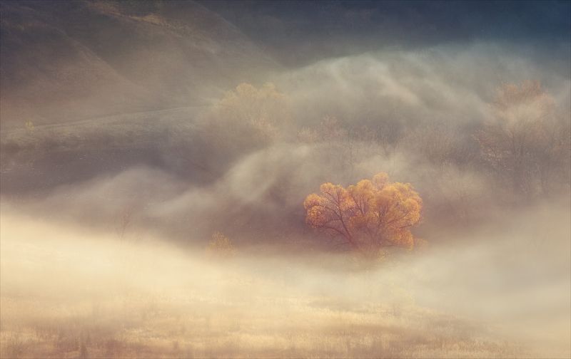 Осенние сны.photo preview