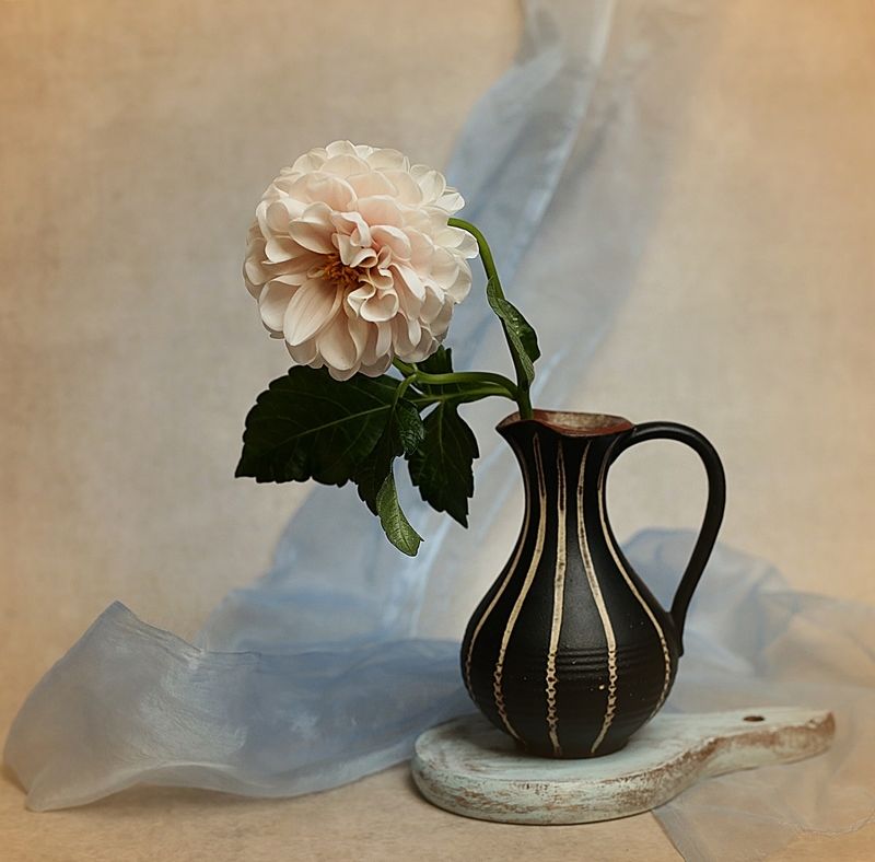 z daliąphoto preview