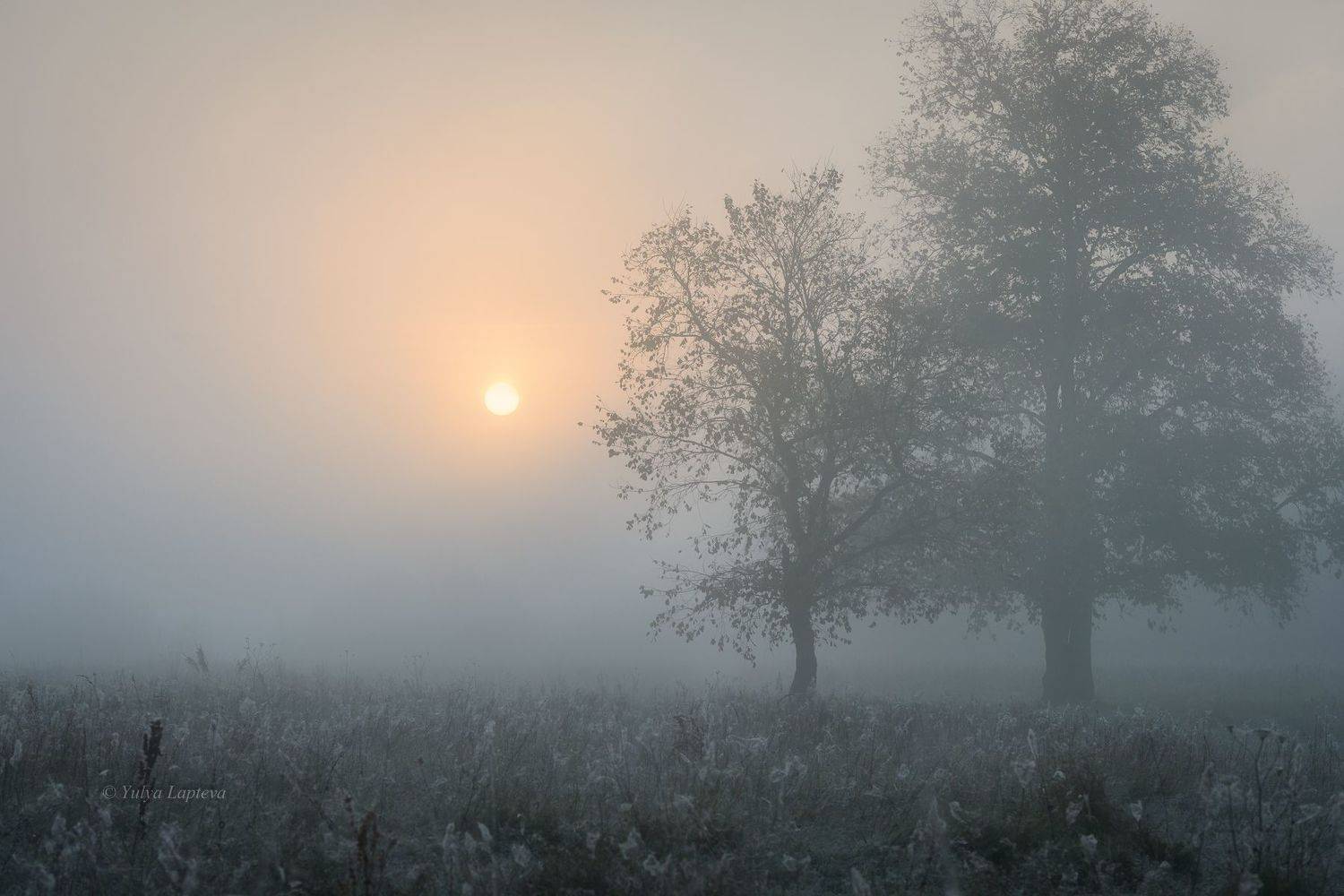 "Начинался октябрь". Автор: Юлия Лаптева , Юлия Лаптева