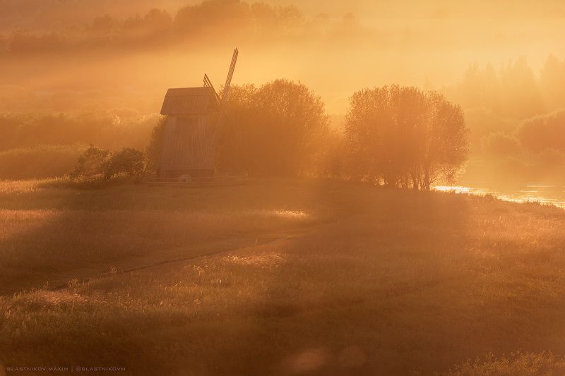 Туманное золотоphoto preview