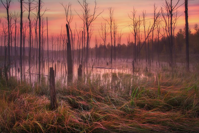 Ведьмино озеро.photo preview