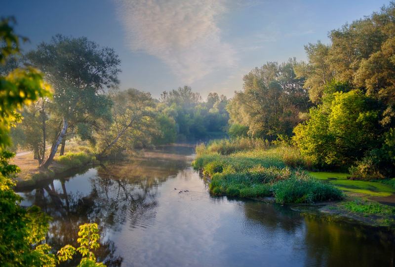 лето, река, берег,пейзаж Пейзаж как состояние души ...photo preview