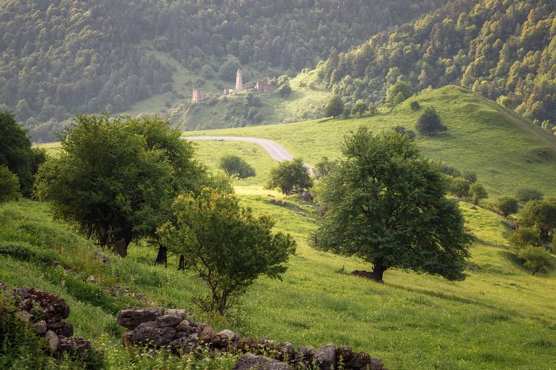 кавказ, ингушетия Утром в Ингушетииphoto preview