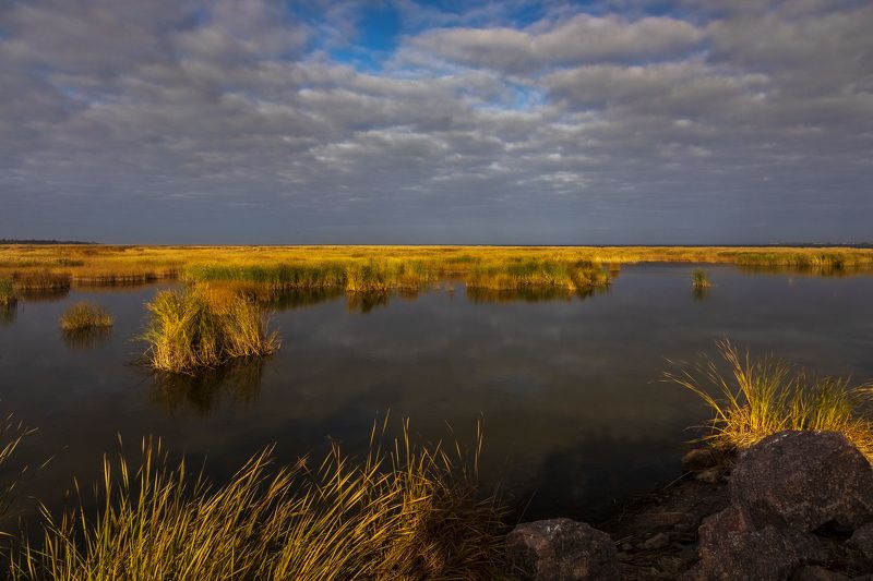 пейзаж, берег, вода, утро, осень, залив, камыш *** фото превью