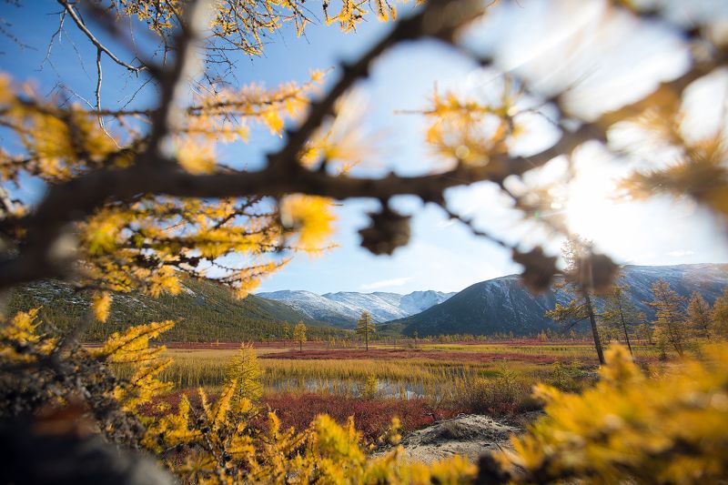 Колыма, озеро Джека Лондона, осень, горы, Магадан Время мыслей и желтых иголокphoto preview