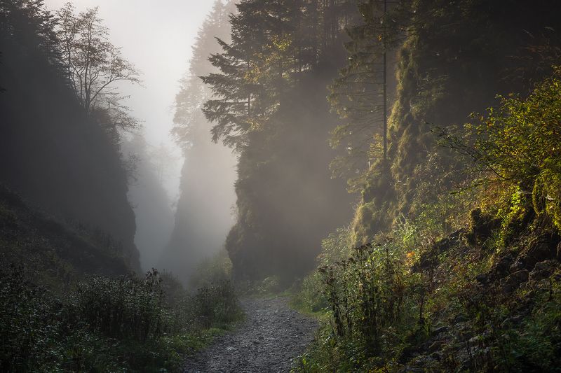 mountains, autumn, poland Foggy Morningphoto preview