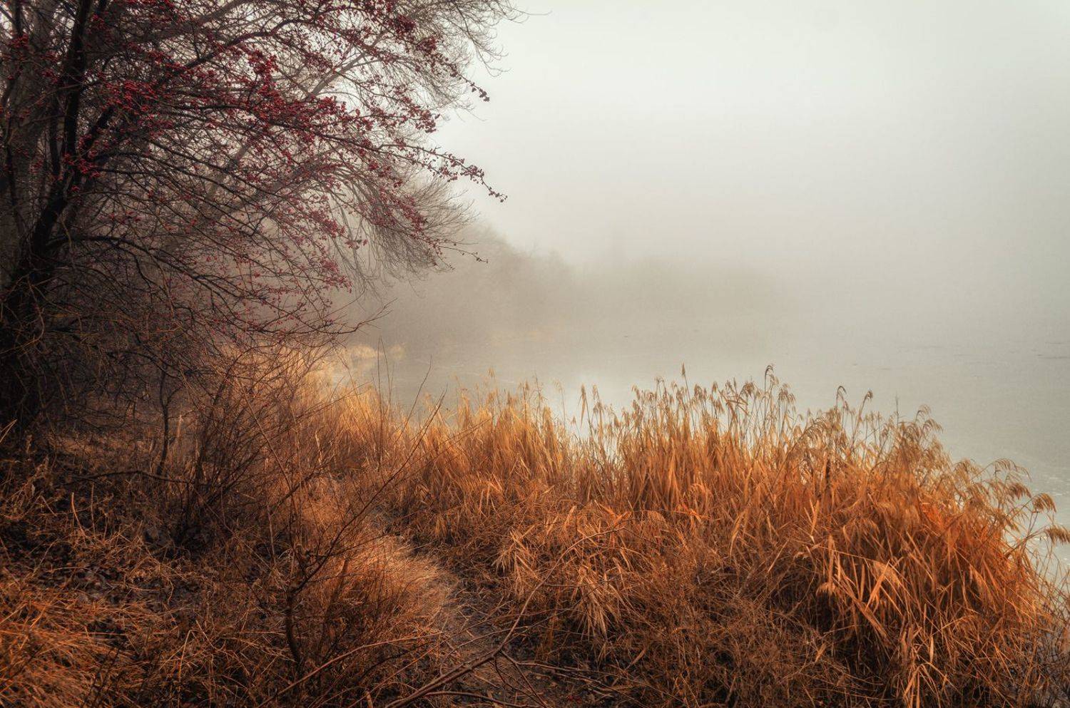 , Игорь Мелекесцев