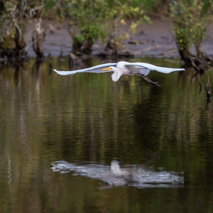 , Леонид Дьяченко