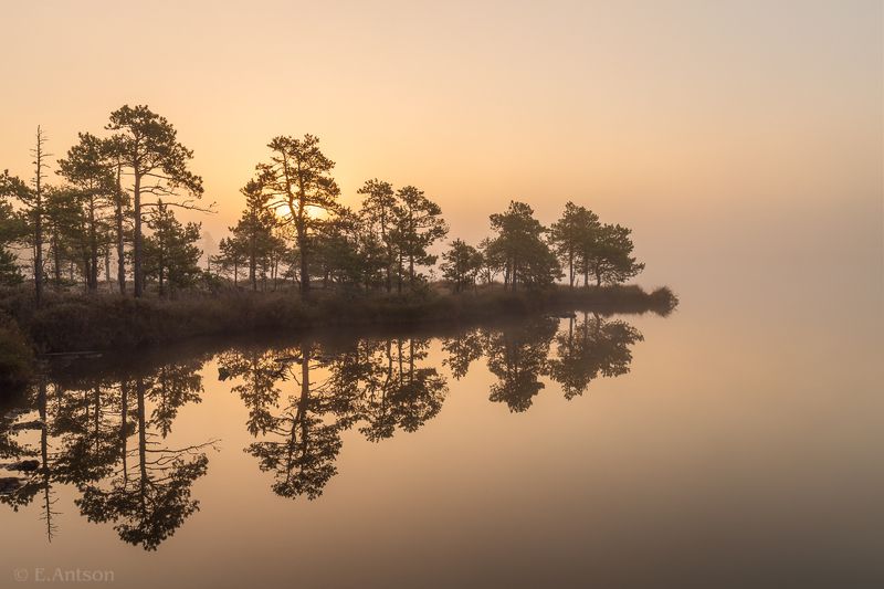 пейзаж, природа, болото, эстония Затерянные в туманеphoto preview