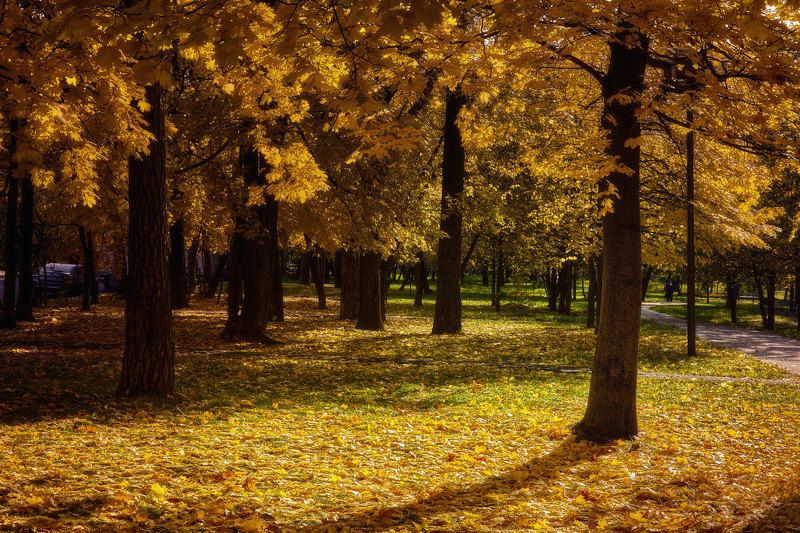 Московская осень.. фото превью