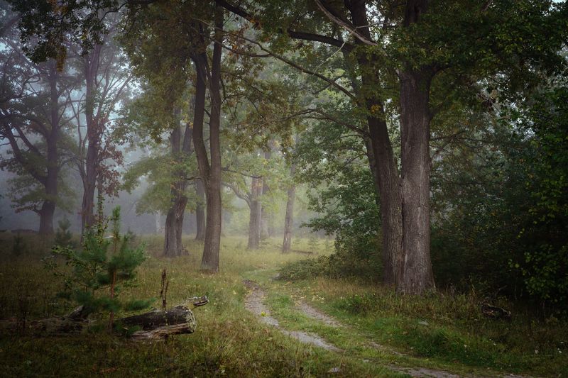 Первые дни осениphoto preview
