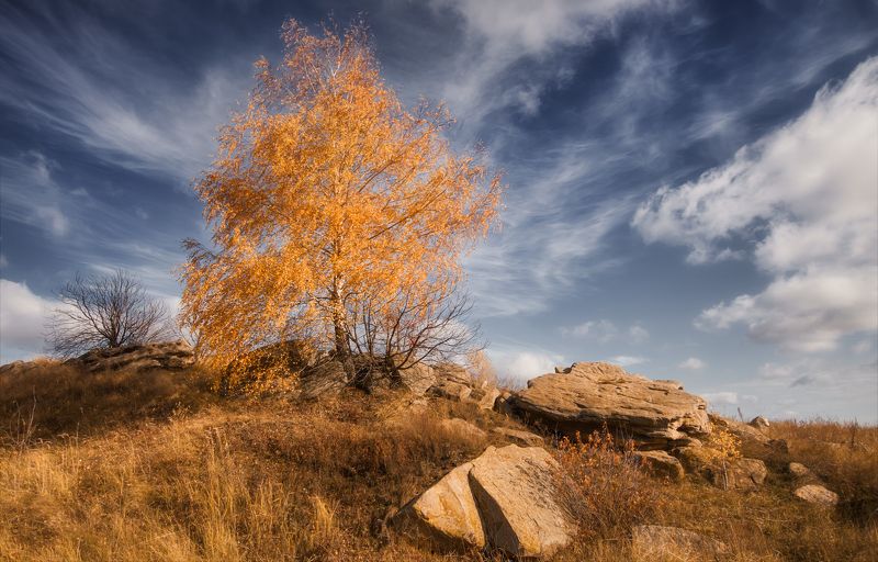 На крыльях осени.photo preview