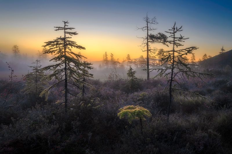 Туманные заморозки фото превью