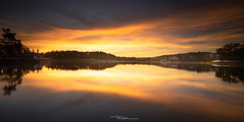 Morning in  Ho Xuan Huongphoto preview