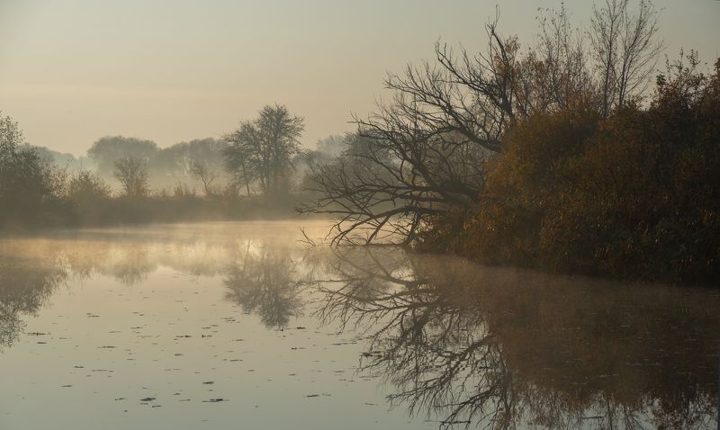н о я б р ьphoto preview