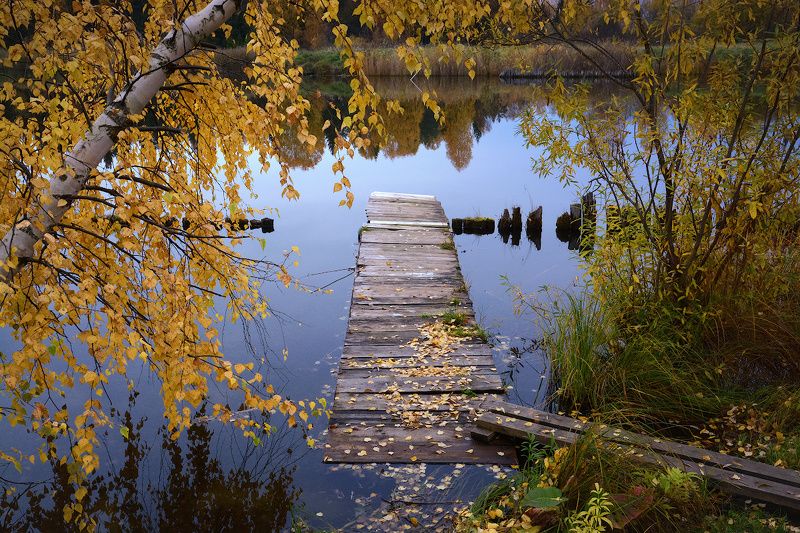 Золото осениphoto preview