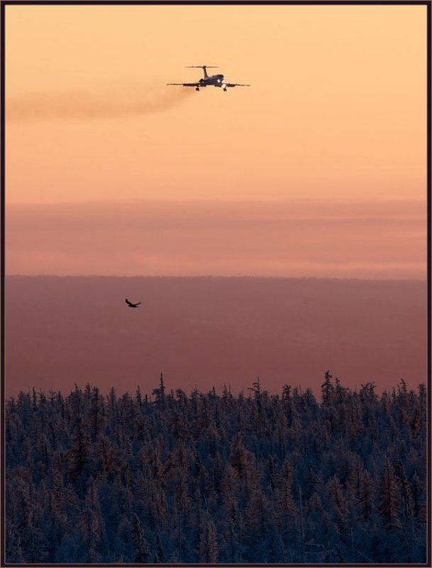 У каждого своя высотаphoto preview