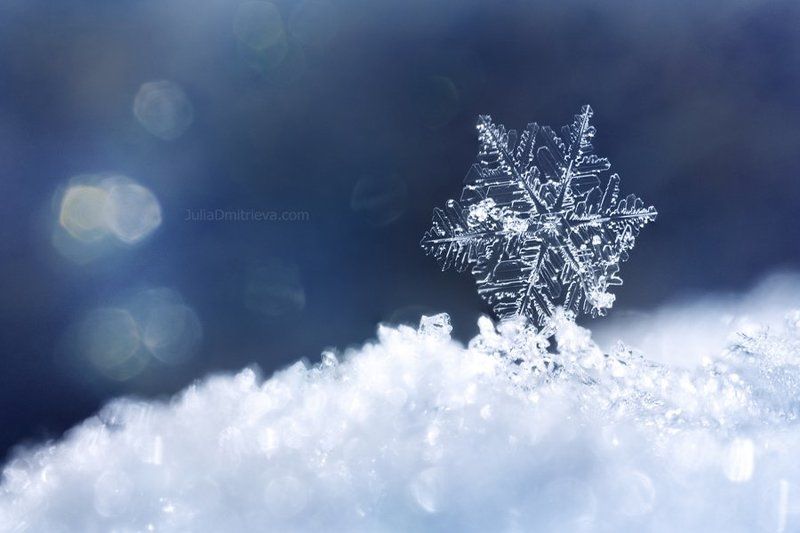 Snowflakephoto preview