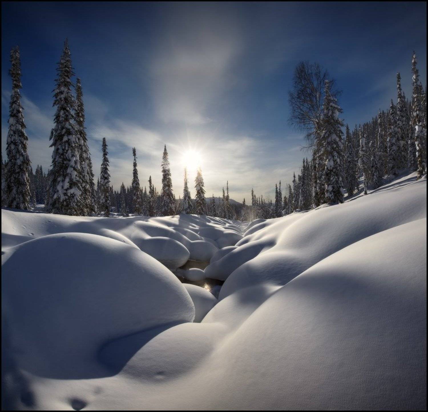 Зима, Кузнецкий Алатау, Пихты, Река, Снег, Сугробы, Утро, Ярославский Виталий, Виталий из Н-ска