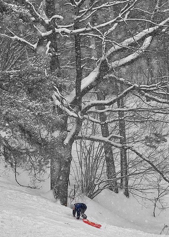 Красные санкиphoto preview