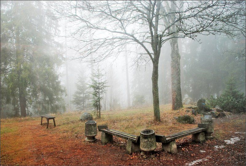 Туманная серия 2(3)photo preview