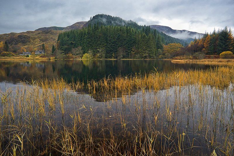 про хаггис, че век анчилфилтед и сварливую старуху гриззель грим...photo preview