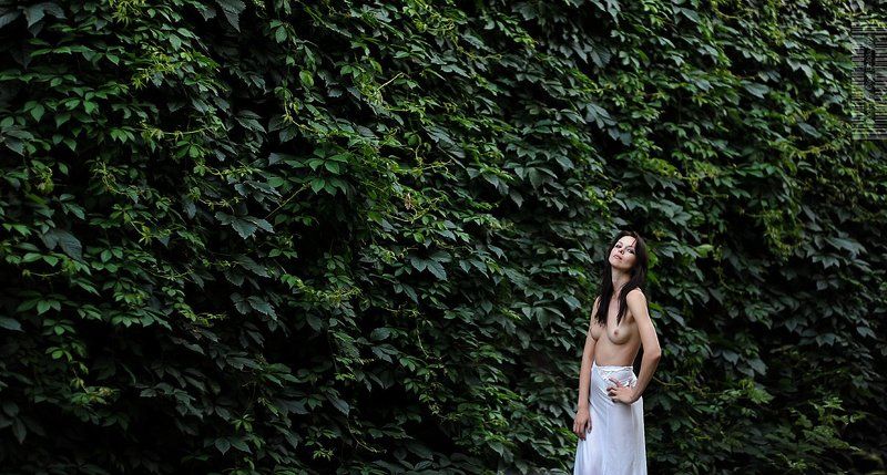 без названияphoto preview