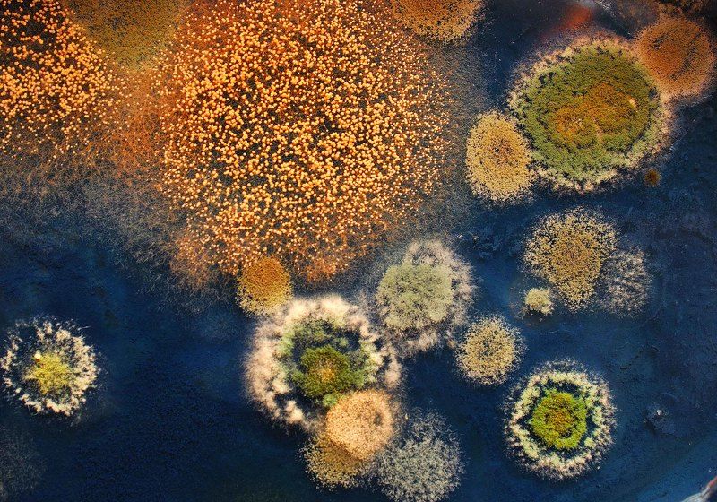 МИРЫphoto preview