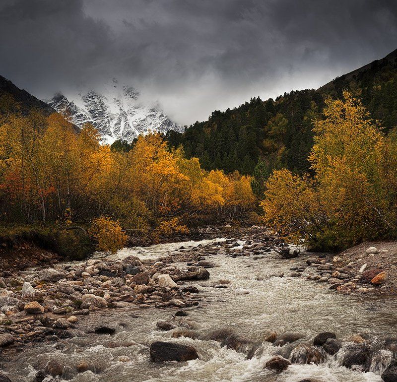 Золото горphoto preview