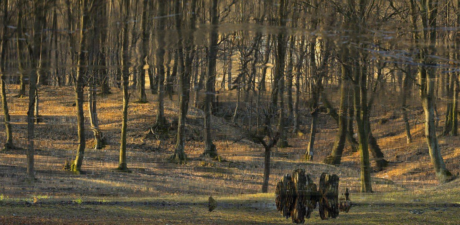 Отражения 3. Автор: Sergey Braga , Sergey Braga