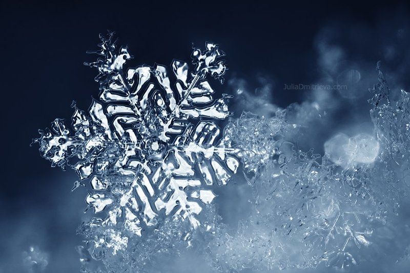 Melting snowflakephoto preview