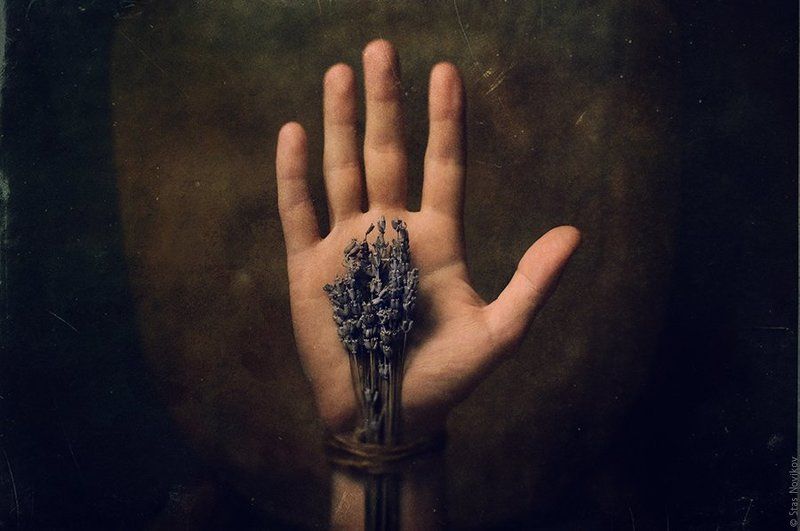 № 245photo preview