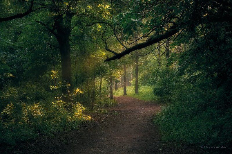 немножко летаphoto preview