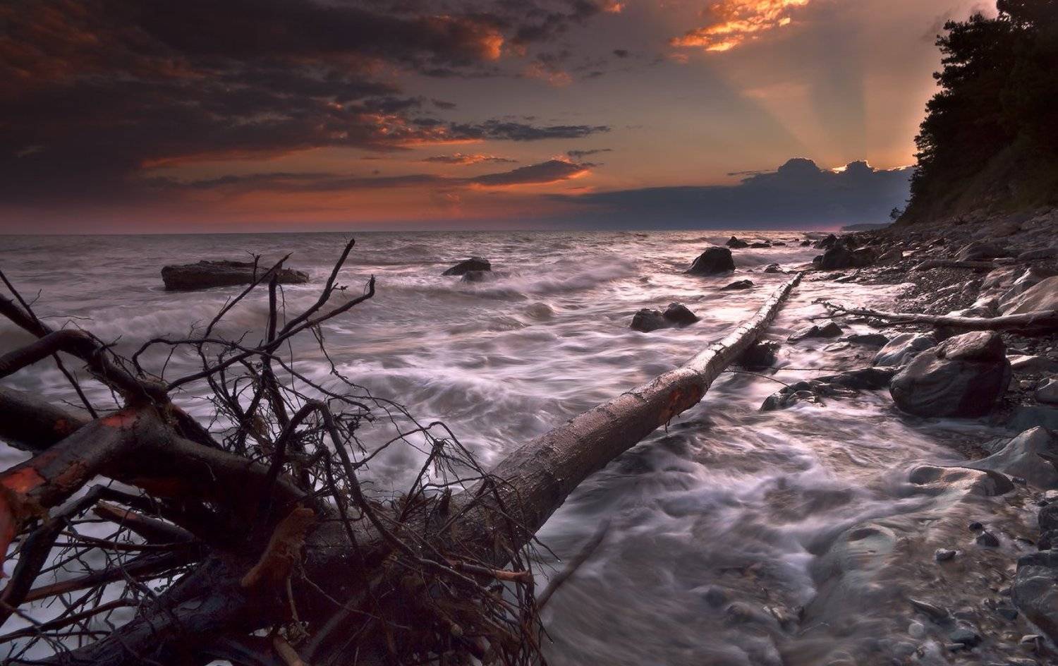 , Ирина Заграничная