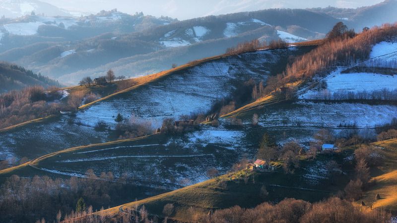 nature, Unusual winter timephoto preview