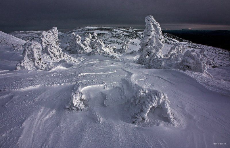 Неведомые существаphoto preview