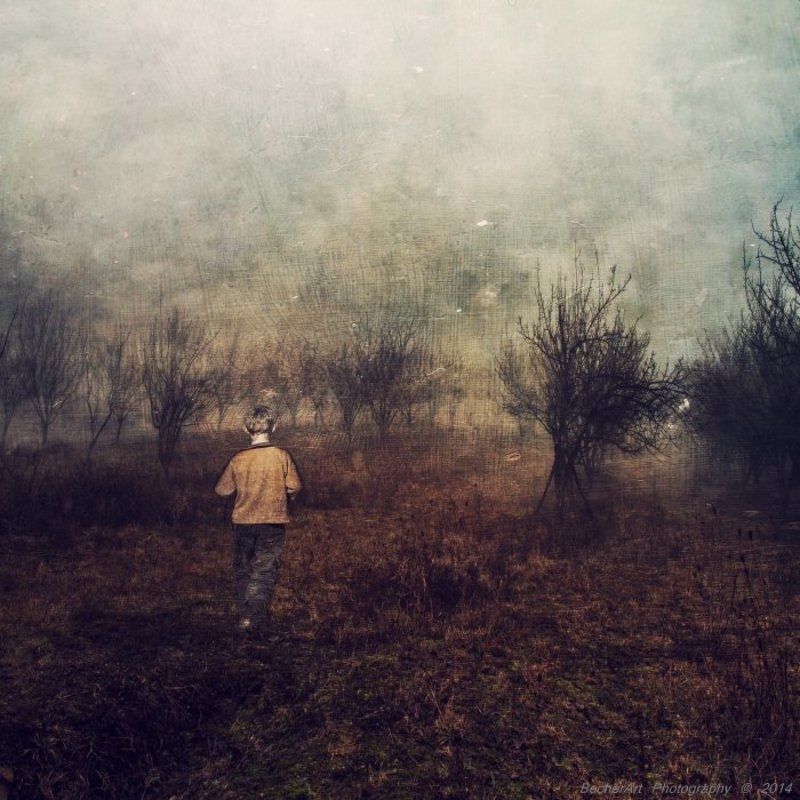 Say Goodbye XVIIphoto preview