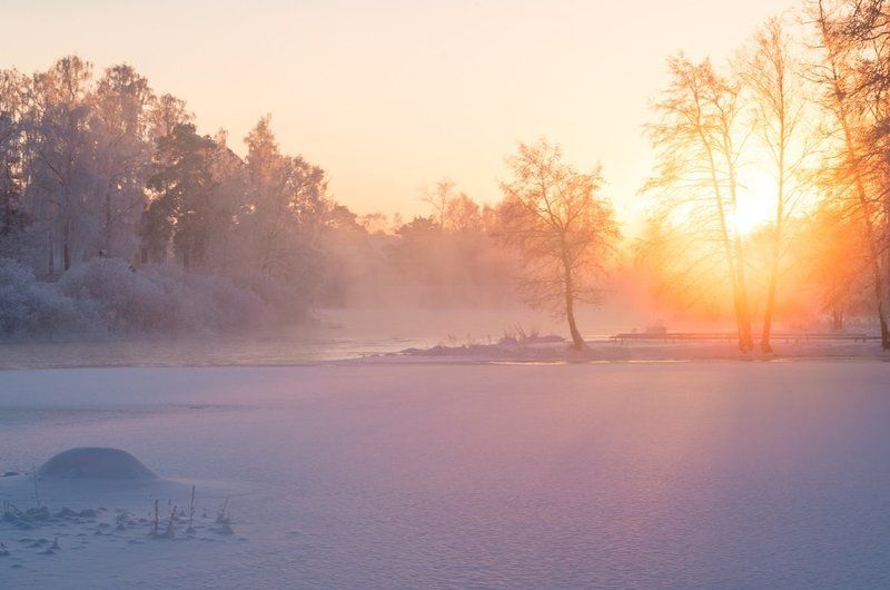 Обыкновенное чудоphoto preview