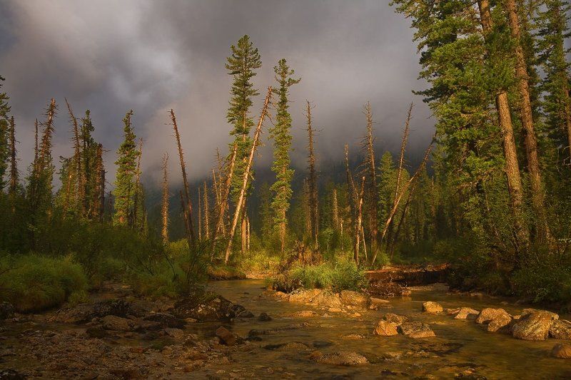 Ергаки, Мимолётность, Поход семьёй О мимолётностиphoto preview