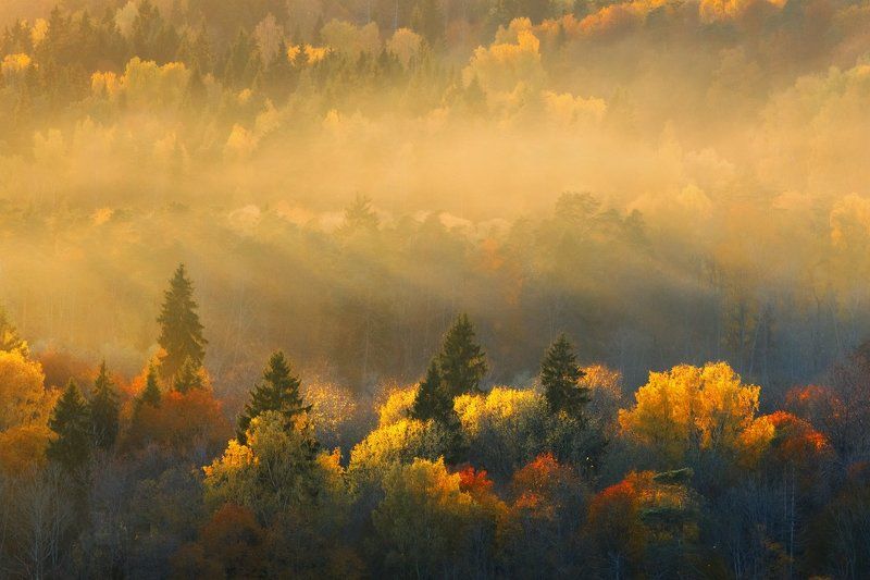 Октябрь в Сигулдеphoto preview