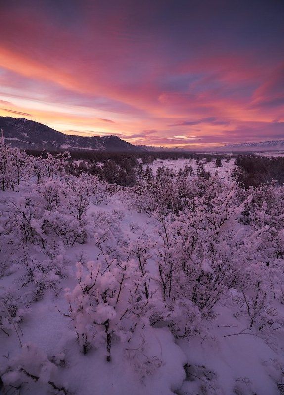 Последние лучи Мультинского заката.photo preview