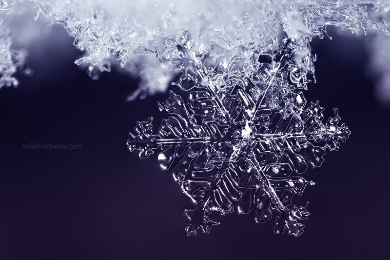 Snow, Snowflake, Winter, Зима, Мороз, Снежинка Snowflakephoto preview