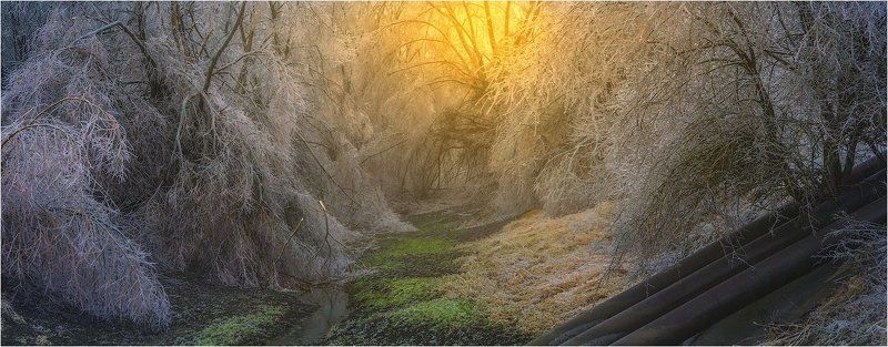 Ледяной дождь ***photo preview