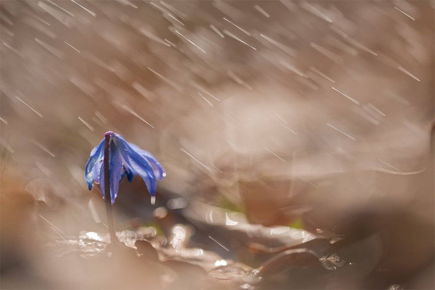 , Геннадий Мещеряков